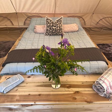 Bluebell Tent At Ballyward Croft Ardkeen Esterno foto
