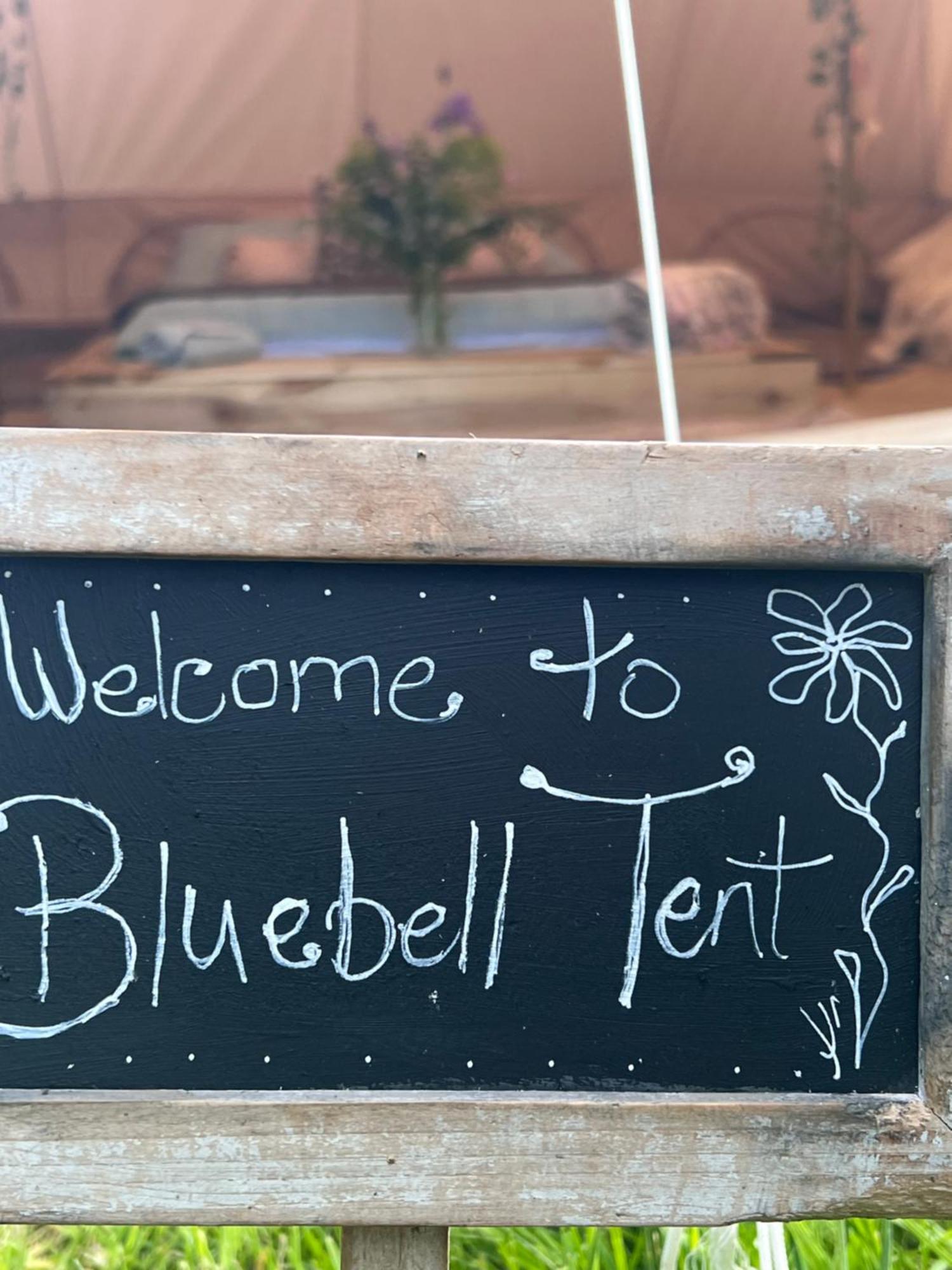 Bluebell Tent At Ballyward Croft Ardkeen Esterno foto