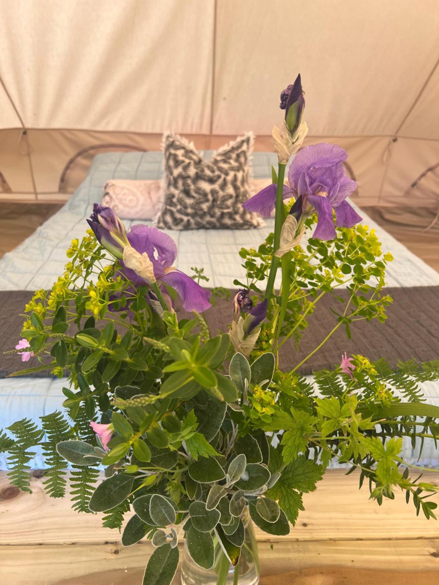 Bluebell Tent At Ballyward Croft Ardkeen Esterno foto