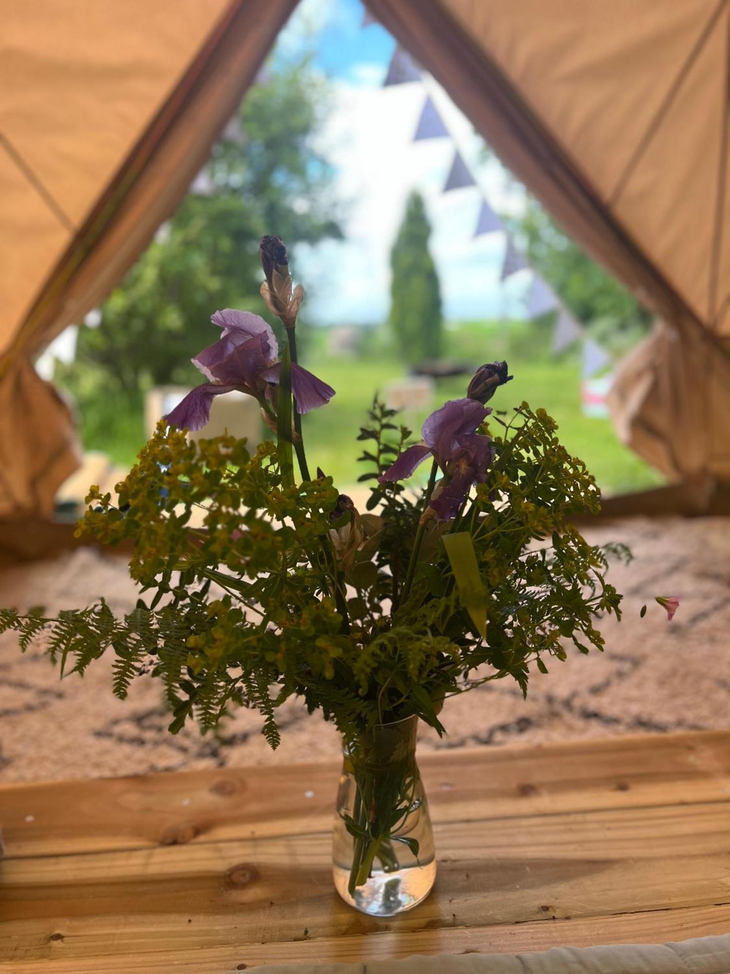 Bluebell Tent At Ballyward Croft Ardkeen Esterno foto